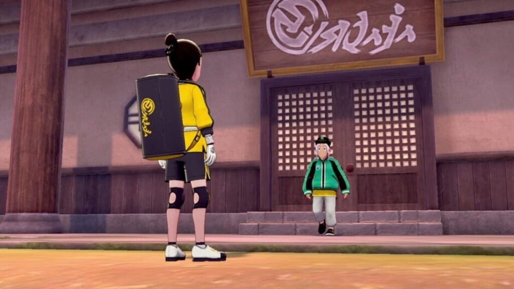 Pokémon Shield: The Isle of Armor screenshot 3