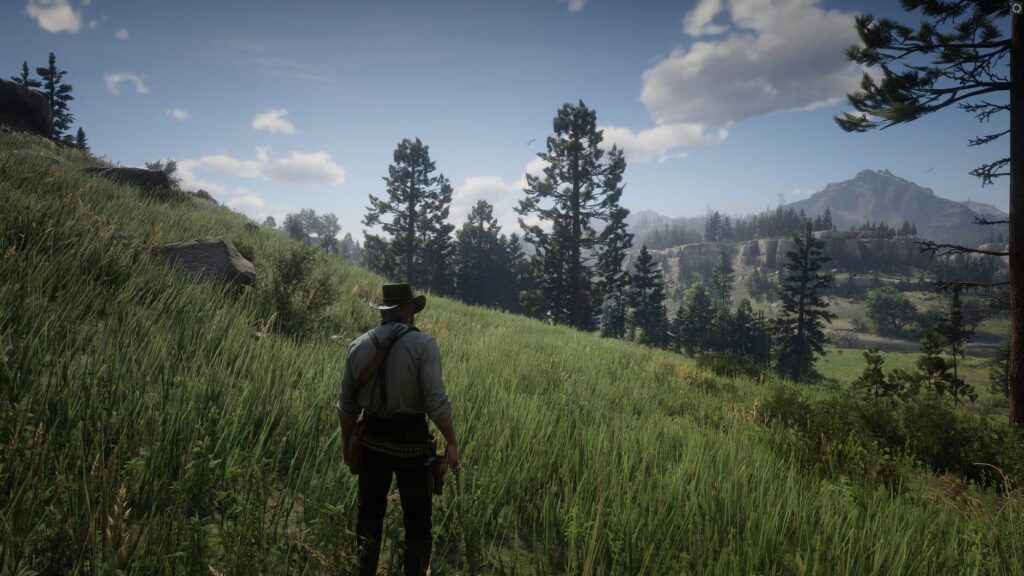 Red Dead Redemption 2 screenshot 5