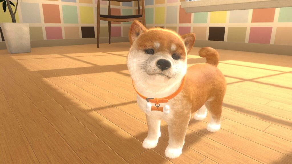 Little Friends: Dogs & Cats screenshot 5